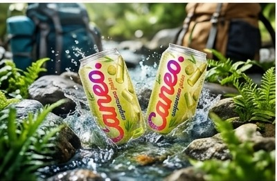 Two chilled CANEO cans splashing in a mountain stream